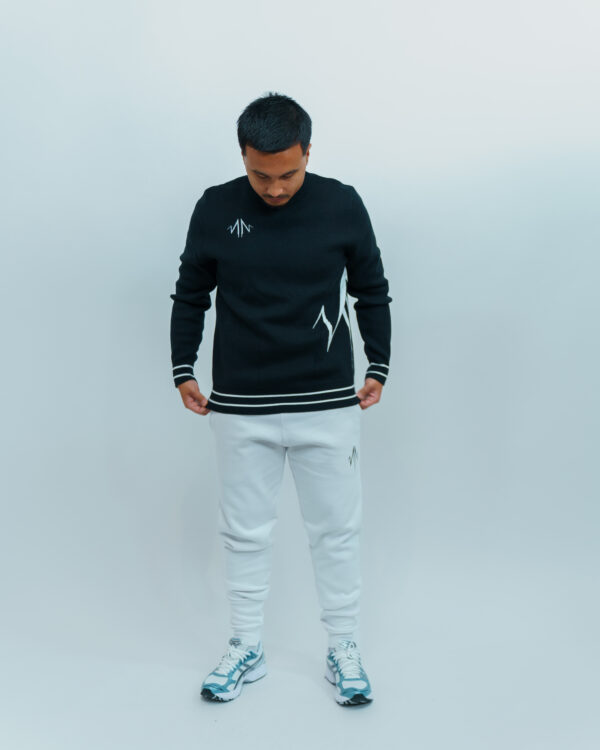 Pull col rond