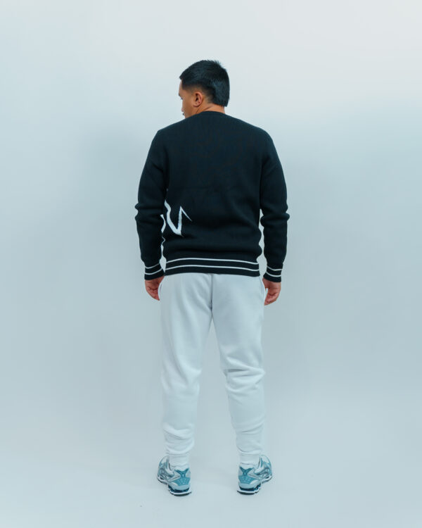 Pull col rond